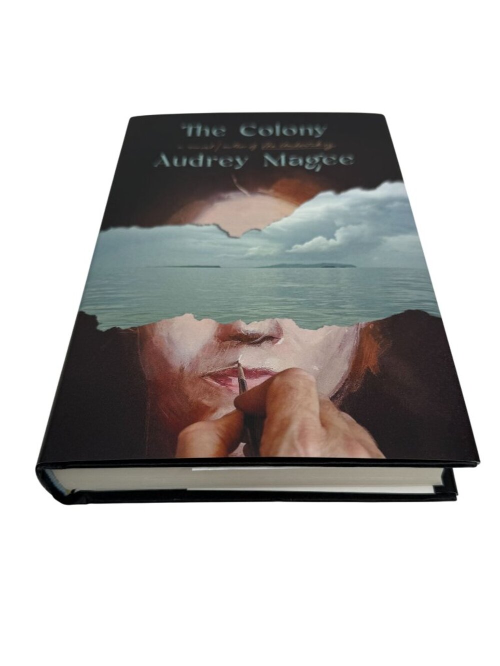 The Colony Hardcover Book Audrey Magee New